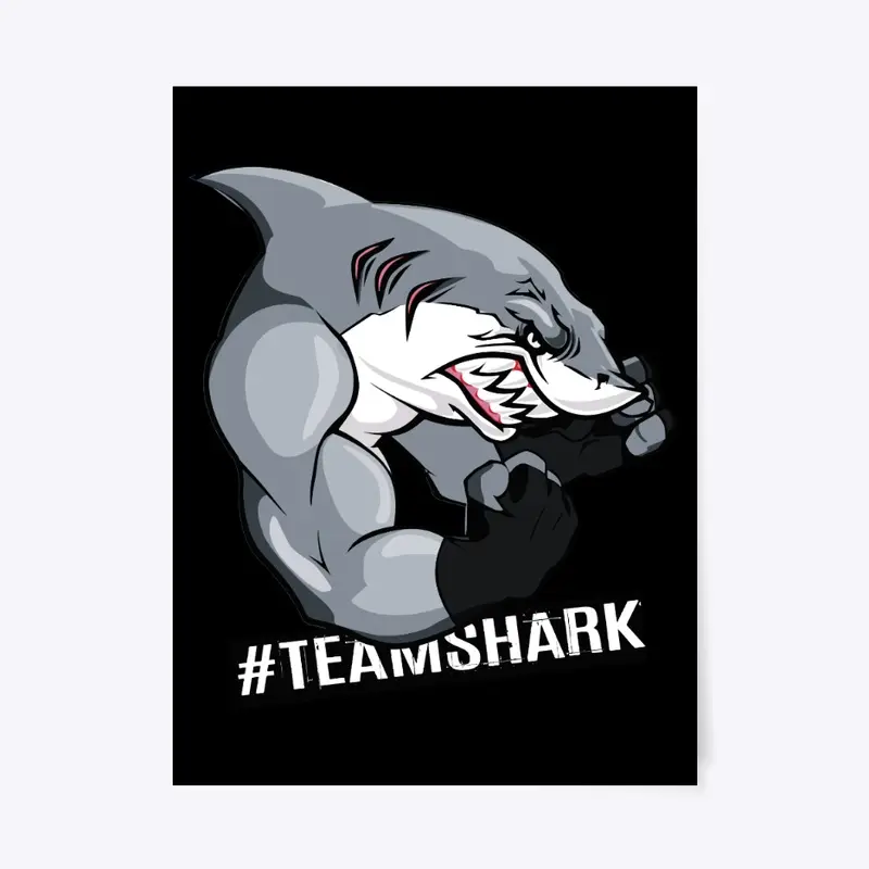 ACCESSOIRE TEAMSHARK